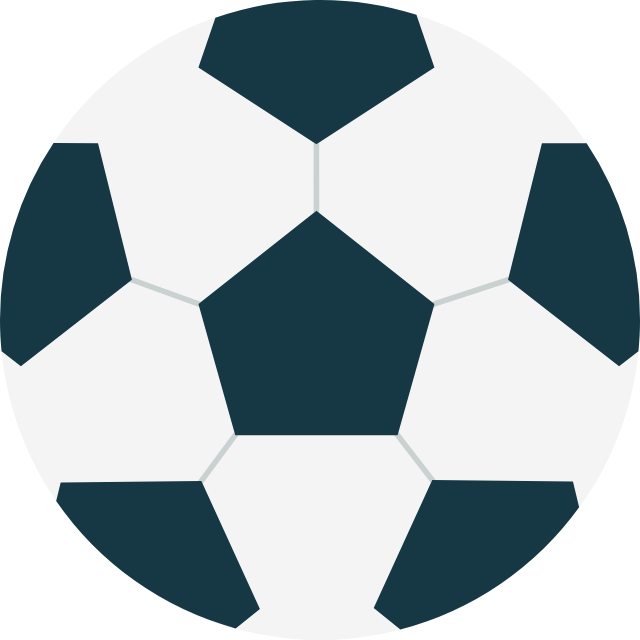 澳足總logo